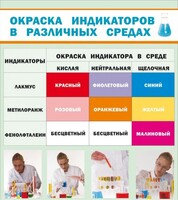 Стенд "Окраска индикаторов в различных средах" - fgospostavki.ru - Хабаровск