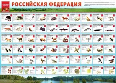 Стенд "Красная книга РФ" - fgospostavki.ru - Хабаровск