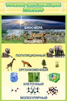Стенд "Уровни организации живого" - fgospostavki.ru - Хабаровск