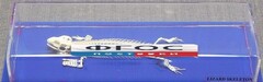 Скелет ящерицы - fgospostavki.ru - Хабаровск