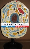 Модель "Клетка животного" - fgospostavki.ru - Хабаровск
