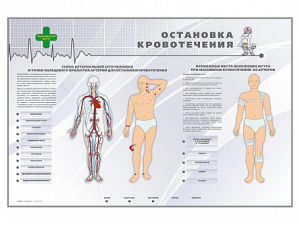 Электрифицированный стенд "Остановка кровотечения" - fgospostavki.ru - Хабаровск