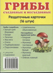 Раздаточные карточки "Грибы съедобные и не съедобные" - fgospostavki.ru - Хабаровск