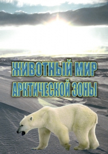DVD "Животный мир Арктической зоны" - fgospostavki.ru - Хабаровск