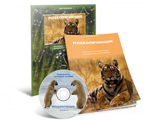 Электронное наглядное пособие «Млекопитающие» - fgospostavki.ru - Хабаровск