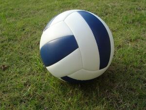 Мяч волейбольный звенящий - fgospostavki.ru - Хабаровск
