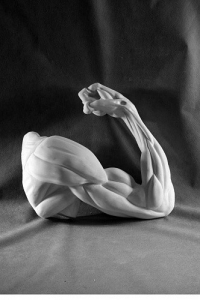 Рука согнутая в локте (гипс) - fgospostavki.ru - Хабаровск