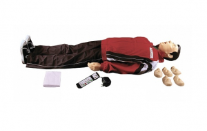 "Максим II-01" тренажер сердечно-легочной и мозговой реанимации - fgospostavki.ru - Хабаровск