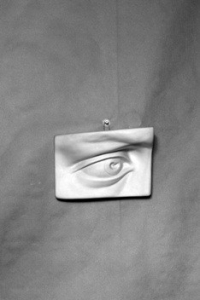 Гипсовая модель "Глаз" - fgospostavki.ru - Хабаровск