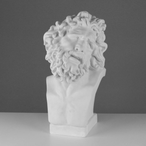 Бюст Лаокоона (гипс) - fgospostavki.ru - Хабаровск