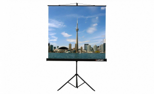Проекционный экран на штативе Lumien Eco View (LEV-100105) 160x160 см - fgospostavki.ru - Хабаровск