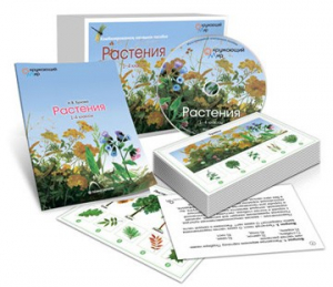Комбинированное наглядное пособие «Растения» - fgospostavki.ru - Хабаровск
