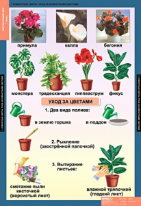 Комплект таблиц. Окружающий мир 1 класс. - fgospostavki.ru - Хабаровск