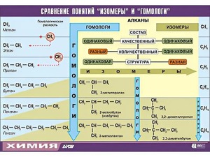 Таблица демонстрационная "Сравнение понятий изомер и гомолог" (винил 70x100) - fgospostavki.ru - Хабаровск