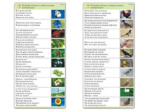 Комплект карточек (10) "Обучающий калейдоскоп. Природа" - fgospostavki.ru - Хабаровск
