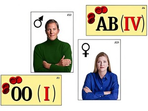 Модель-аппликация "Генетика групп крови" (ламинированная) - fgospostavki.ru - Хабаровск