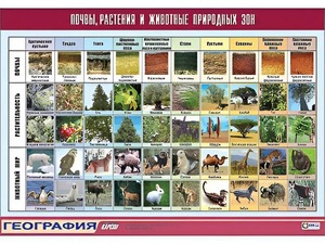 Таблица демонстрационная "Почвы, растения и животные природных зон" (винил 100*140) - fgospostavki.ru - Хабаровск