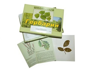 Гербарий "Дикорастущие растения" (30 видов, с иллюстрациями) - fgospostavki.ru - Хабаровск