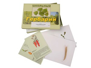 Гербарий "Культурные растения" (30 видов, с иллюстрациями) - fgospostavki.ru - Хабаровск