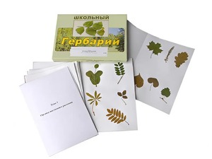 Гербарий "Морфология растений" (6 тем, 30 видов) - fgospostavki.ru - Хабаровск