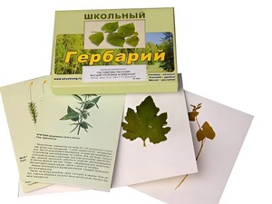 Гербарий "Систематика растений. Высшие споровые и семенные" (раздаточный) - fgospostavki.ru - Хабаровск