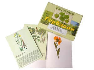 Гербарий "Систематика растений. Семейство Пасленовые. Крестоцветные. Сложноцветные" (раздаточный) - fgospostavki.ru - Хабаровск
