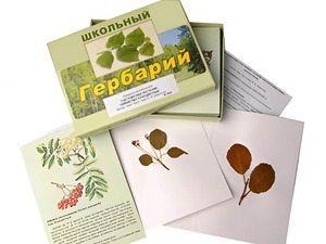 Гербарий "Систематика растений. Семейство Розоцветные" (раздаточный) - fgospostavki.ru - Хабаровск
