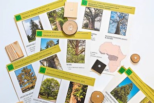 Коллекция "Древесные растения и их распространение" (демонстрационная) - fgospostavki.ru - Хабаровск