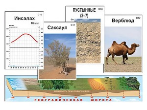 Модель-аппликация "Природные зоны" - fgospostavki.ru - Хабаровск
