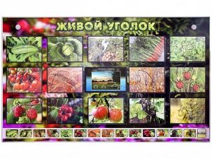 Комплект оборудования "Живой уголок" (растения) с тифлопереводом и сурдокомментариями - fgospostavki.ru - Хабаровск
