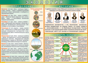 Таблица "Экология. Определения и история" (100х140 сантиметров, винил) - fgospostavki.ru - Хабаровск