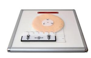 Комплекс "Изучение зубьев" - fgospostavki.ru - Хабаровск