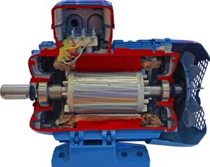 Учебная модель «Электродвигатель асинхронный в разрезе» - fgospostavki.ru - Хабаровск