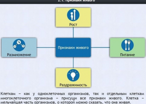 Интерактивные курсы. Биология 5 класс. Базовый - fgospostavki.ru - Хабаровск