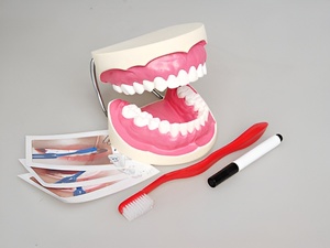 Игровой комплект "Чистим зубы" - fgospostavki.ru - Хабаровск