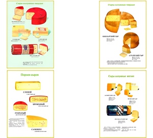 Плакаты ПРОФТЕХ "Ассортимент сыров" (9 пл, винил, 70х100) - fgospostavki.ru - Хабаровск