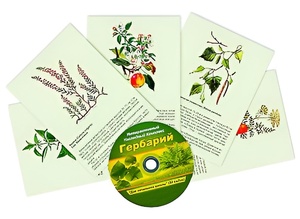 Интерактивный наглядный комплекс "Гербарий "Для начальной школы" - fgospostavki.ru - Хабаровск