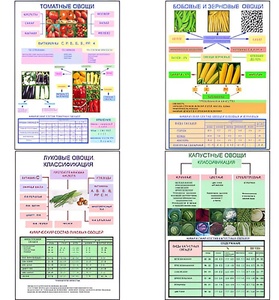 Плакаты ПРОФТЕХ "Классификация овощей" (11 пл, винил, 70х100) - fgospostavki.ru - Хабаровск