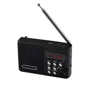 Радиоприемник цифровой с крупными кнопками - fgospostavki.ru - Хабаровск