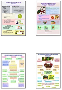 Плакаты ПРОФТЕХ "Классификация овощей и переработка" (8 пл, винил, 70х100) - fgospostavki.ru - Хабаровск