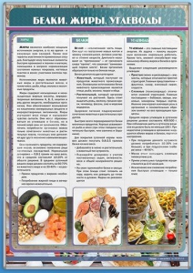 Стенд "Белки. Жиры. Углеводы" - fgospostavki.ru - Хабаровск
