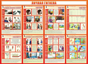 Стенд "Личная гигиена" - fgospostavki.ru - Хабаровск