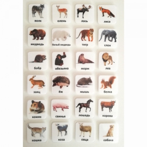 Набор карточек "ЖИВОТНЫЕ" - fgospostavki.ru - Хабаровск