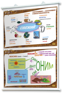Плакаты по русскому языку для оформления кабинета. - fgospostavki.ru - Хабаровск