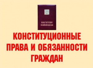 Комплект плакатов "Конституционные права и обязанности граждан" - fgospostavki.ru - Хабаровск