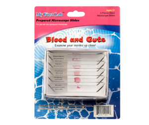 Набор микропрепаратов для микроскопа №1 «Человек» - fgospostavki.ru - Хабаровск