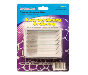 Набор микропрепаратов для микроскопа №3 «Необычное в обычном» - fgospostavki.ru - Хабаровск