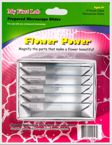 Набор микропрепаратов для микроскопа №6 «Цветы» - fgospostavki.ru - Хабаровск