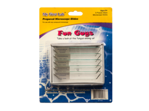Набор микропрепаратов для микроскопа №8 «Грибы» - fgospostavki.ru - Хабаровск