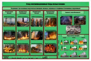 Стенд-планшет электрифицированный «Виды лесных пожаров»  - fgospostavki.ru - Хабаровск